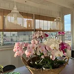 Bed & Breakfast Il Piccolo Attico Caltagirone