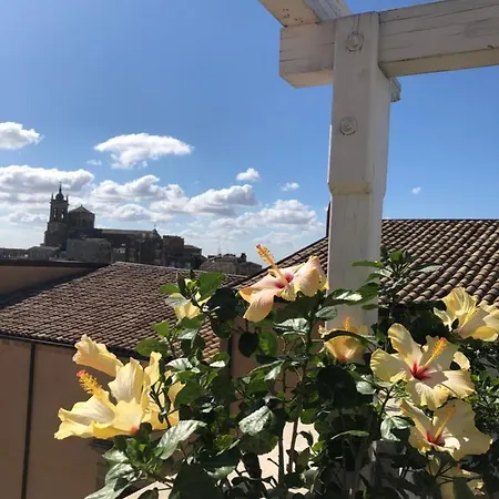 Bed & Breakfast Il Piccolo Attico
