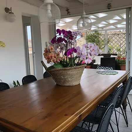 Il Piccolo Attico Bed & Breakfast